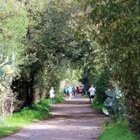 Проживание в семье Large E Small Private Bathroom Between Mondello And Old Town! Free Park! *